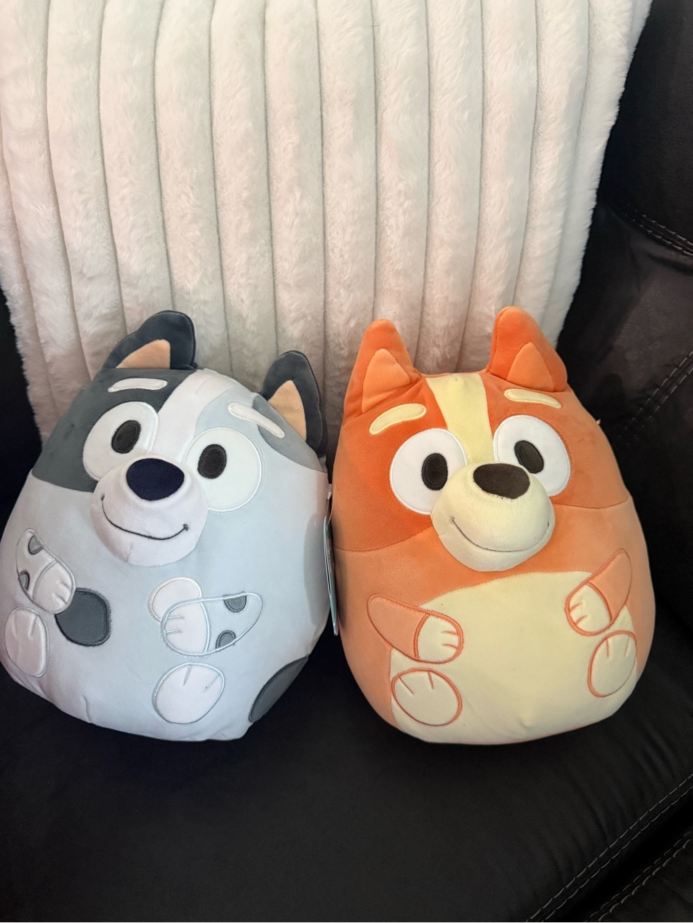 Bingo and Muffin Squishmallows 10”